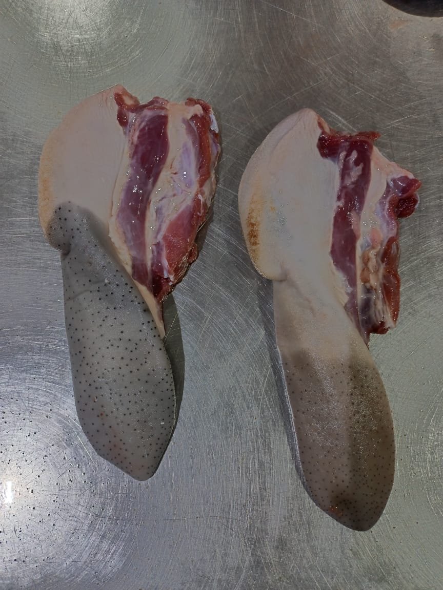 Tongue