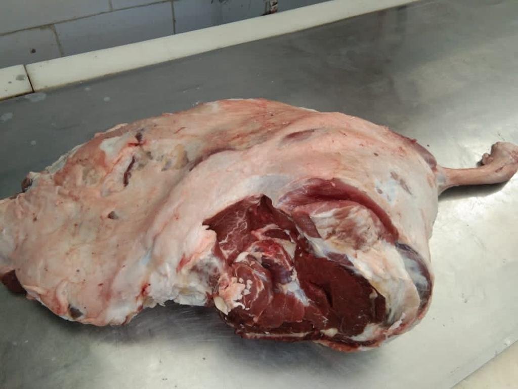 Whole Leg